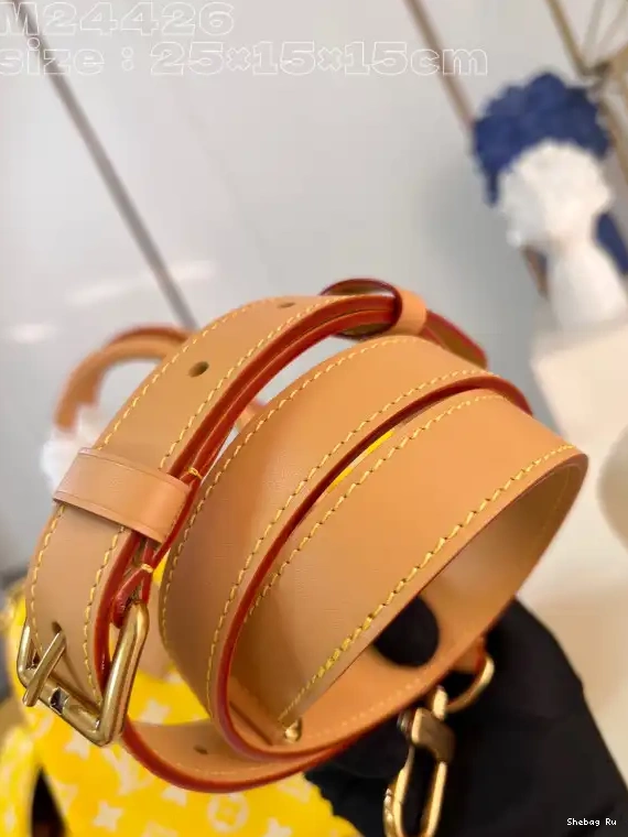 Louis Vuitton SPEEDY 25 0613